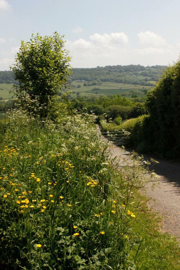 Odle Farm Villa Honiton Eksteriør bilde