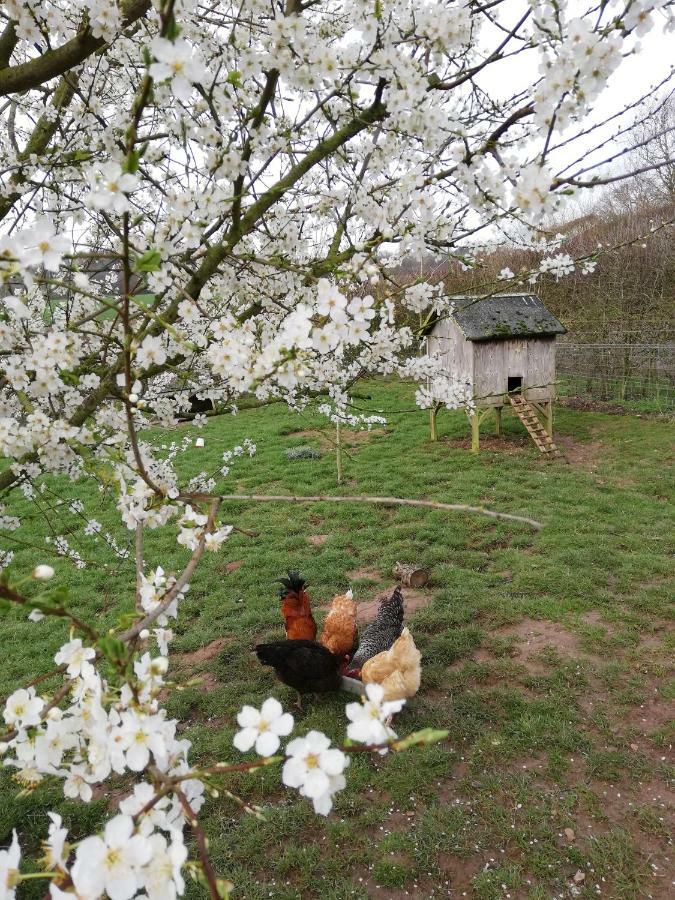 Odle Farm Villa Honiton Eksteriør bilde