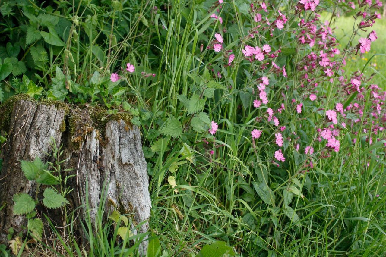 Odle Farm Villa Honiton Eksteriør bilde